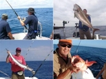 Sea Hunter Deep Sea Charters