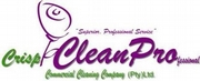 Clean Pro Cleaning Services