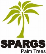 Spargs Palms