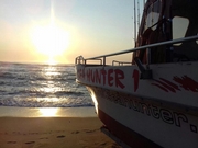 Sea Hunter Deep Sea Charters